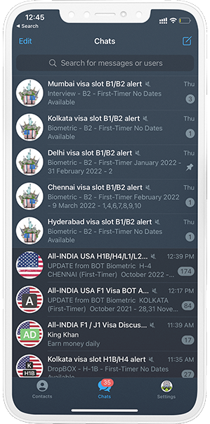 Telegram Visa channel Screenshot B1